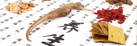 酒泉尊龙凯时制药股份有限公司